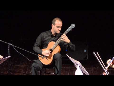 Mauro Giuliani Concerto op.30 I Allegro Maestoso