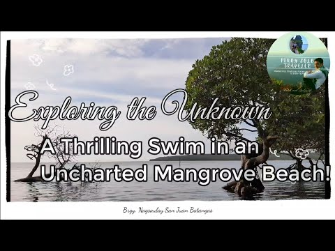 San Juan Batangas Vlog | Exploring the Unknown: A Thrilling Swim in an Uncharted Mangrove Beach!