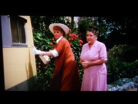 BACKING UP A TRAILER: VERY FUNNY