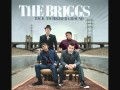 The Briggs - Back To Higher Ground