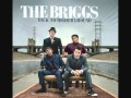 The Briggs - Back To Higher Ground 