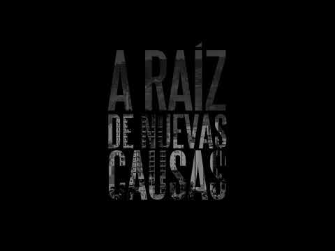 A Raíz De Nuevas Causas - Una Vez Más