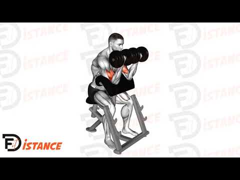 Curl pupitre avec double haltères - Exercice Curl pupitre avec double haltères en vidéo