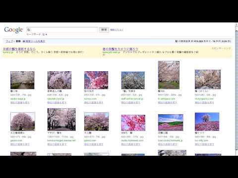 2017 年の興味深い Google 検索用語: シリン デイヴィッドを実際に知っていますか?