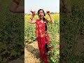 Sarso Ke Sagiya 🫶 Bhojpuri Song Youtubelike Patroticdance Hitsong Trending Dance Music