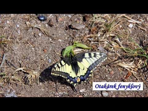 18 05 09 Z Vimperka do Čkyně