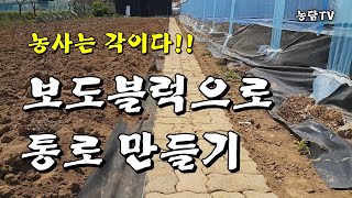 보도블럭으로 통로 만들기/농사는 각이다!!