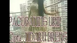 Download lagu PACOBANING URIP cipta NDARU BRENG mp3 Download lagu PACOBANING URIP cipta NDARU BRENG mp3