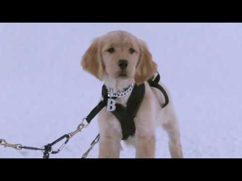 what u doin in the hood mom