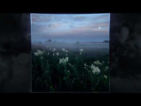 Finivoid - empty mind