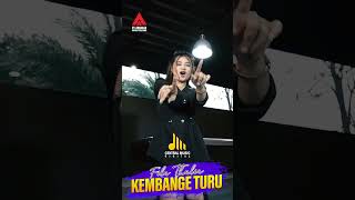 Download lagu Fila Thalia Kembange Turu mp3 Download lagu Fila Thalia Kembange Turu mp3