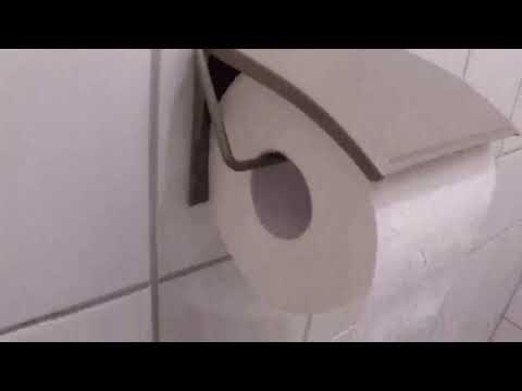 WENKO Toilettenpapierhalter Cover Taupe, Einfache gute Toilettenpapierhalter