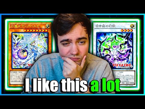 Joshua Schmidt Reacts to New White Forest Support