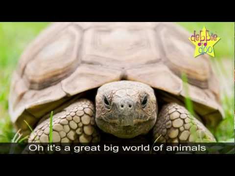 For Children. Great Big World Of Animals - Animal Song - Debbie Doo!