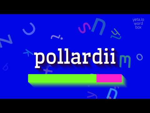 POLLARDII - HOW TO PRONOUNCE IT? #pollardii