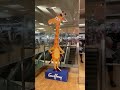 Toys R Us Is Back