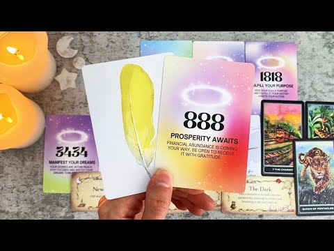 Watch on August 8th, Life Won’t Be The Same Afterwards!🦁✨