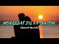 Mohabbat Dil Ka Sukoon {Slowed+Reverb} Lo-Fi Hindi Song