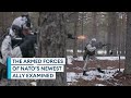 Nato: What does Finland bring to the security alliance?
