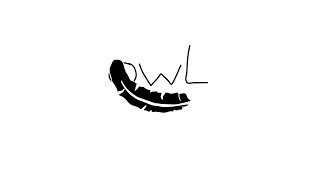 Animation #0001 // Dat Adam - Owl