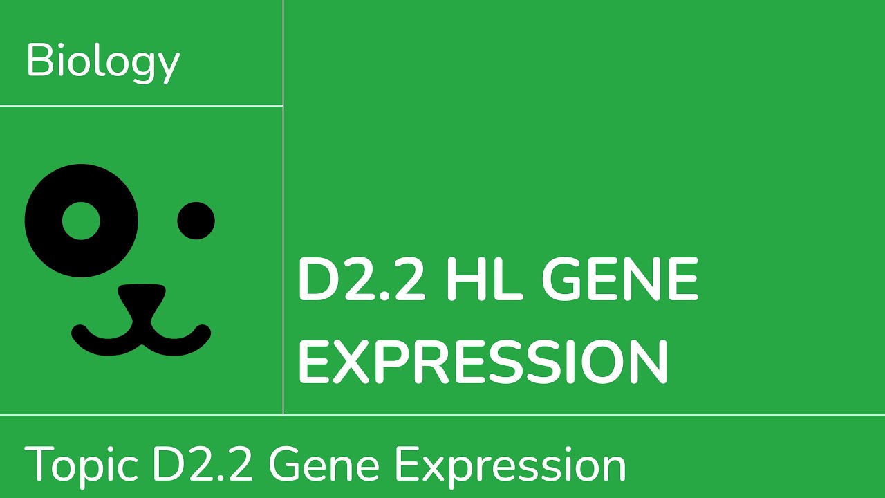 D2.2 HL Genetic Expression [IB Biology HL]