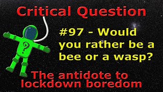 Critical Question #97 - Would you rather be a bee or a wasp?