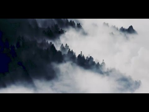 Monrroe - Never Too Old Production Tutorial