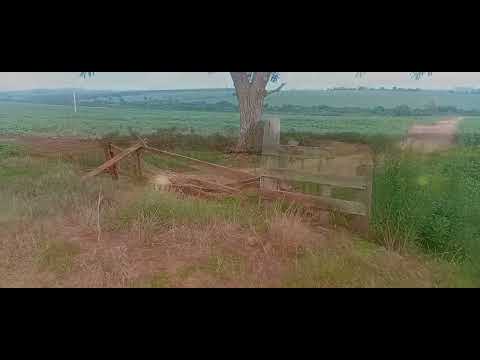 Terra Roxa PR- ,Alto  Alegre, Estrada R1 e R2,Encruzo de Palotina e Mariluz PR.