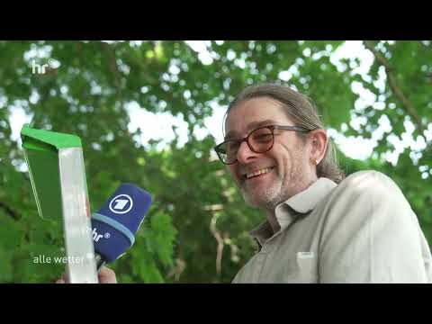 Projekt vom 15.08.2025 "Steinkäuze auf Streuobstwiesen ansiedeln"