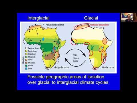 Cape Insights : Archaeology Podcast