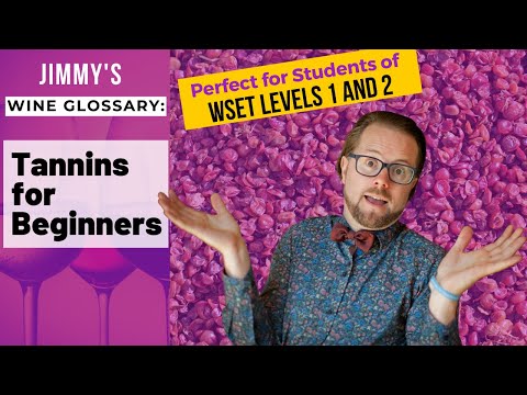 Explaining Wine Terminology Tannins for Beginners