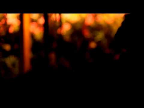 Eran Hollander - Nature Boy