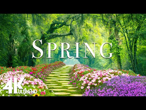 Amazing Colors of Spring 4K Nature Relaxation Film -  Natural Landscape - Relaxing Piano Music