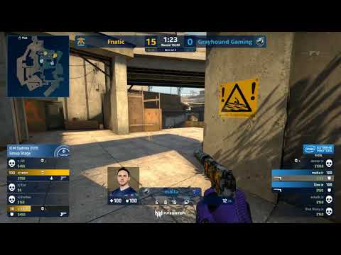 greyhound celebrates not getting 16 0'd   15 0 overpass fnatic v grayhound iem sydney 2019 group