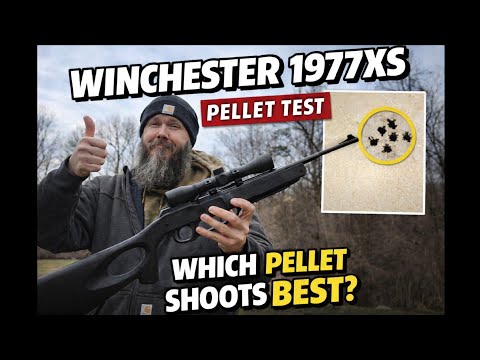 Winchester SXP Pattern Test - Does FoxTrot Ammo Get Results?