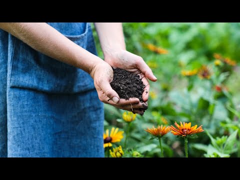 image-Can a flower survive without soil?