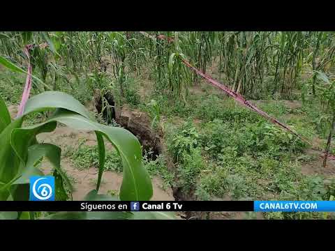 Video: Preocupación por grieta en terrenos de cultivos en el municipio de Cocotitlán, Edomex