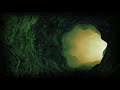 7 Rainbows in Exile - Green Moon (Official Video)