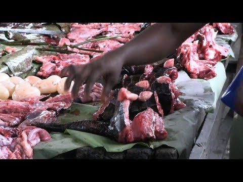 In the DRC bushmeat sales fall after Ebola death in Mbandaka
