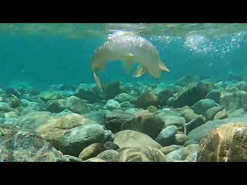 TRAILER - GREAT EXPECTATIONS