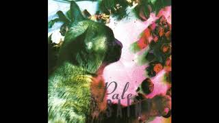 Pale Saints  - You Tear The World In Two