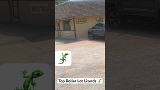 They Have The Best Lot Lizards 🦎 Around💯💯💯