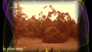 iNtO tHe GaRdEn  -   (Music -  Danny Elfman)