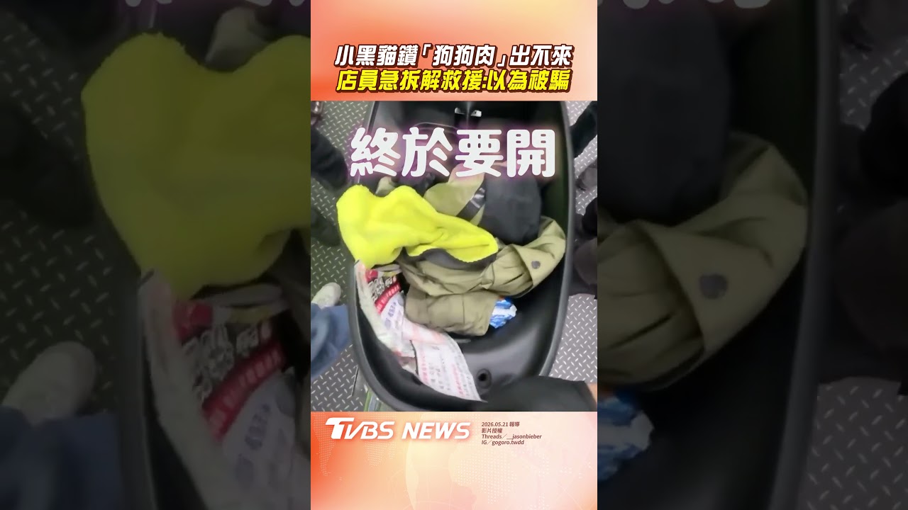 影音/小黑貓鑽進「狗狗肉」引擎出不來 店員急拆解救援:以為被騙