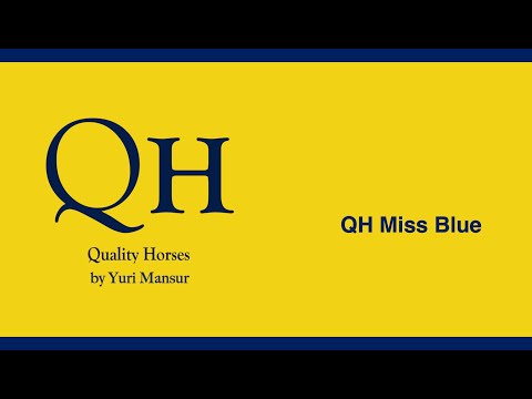 Miss Blue & Yuri Mansur - Prize of Europe - CHIO AACHEN 2023