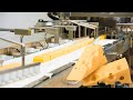 INDUSTRIAL CHEESE PROCESSING FOOD INDUSTRY