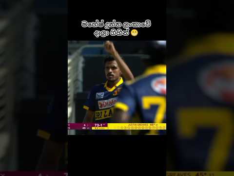 මිලියනයක් බලපු ඒ විඩියෝව 🫠 #trend #viralvideo #cricket #shortsfeed #cricketlover