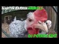 Martin Garrix - Animals (DJ Potato Edit) 