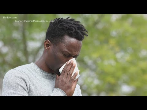 YouTube video about Fall Allergy Tips: Prevent Seasonal Allergies at Their Roots