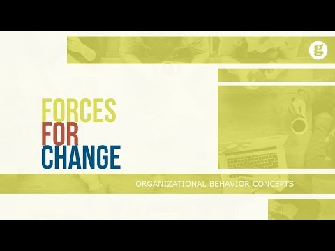 What is Organizational Behavior